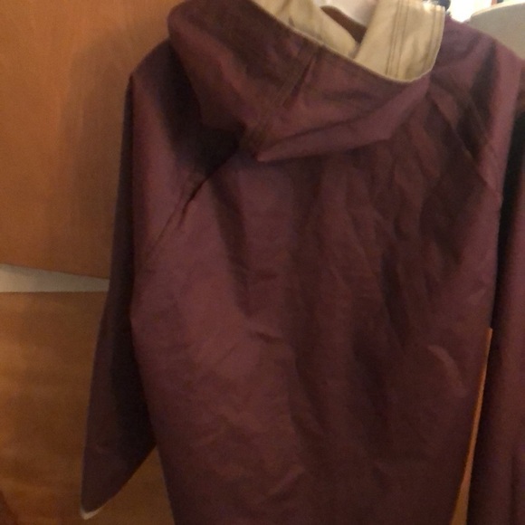 Daz - Picture 4 of 5